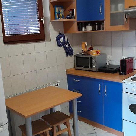 Plavi Apartman Airport Belgrade Extérieur photo