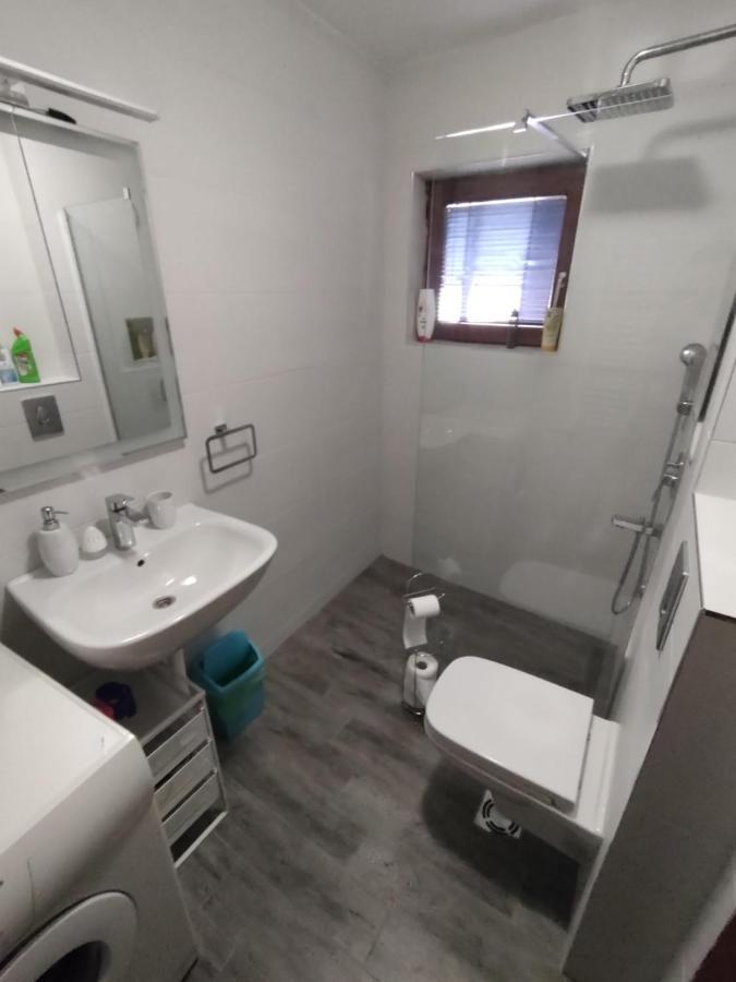 Plavi Apartman Airport Belgrade Extérieur photo